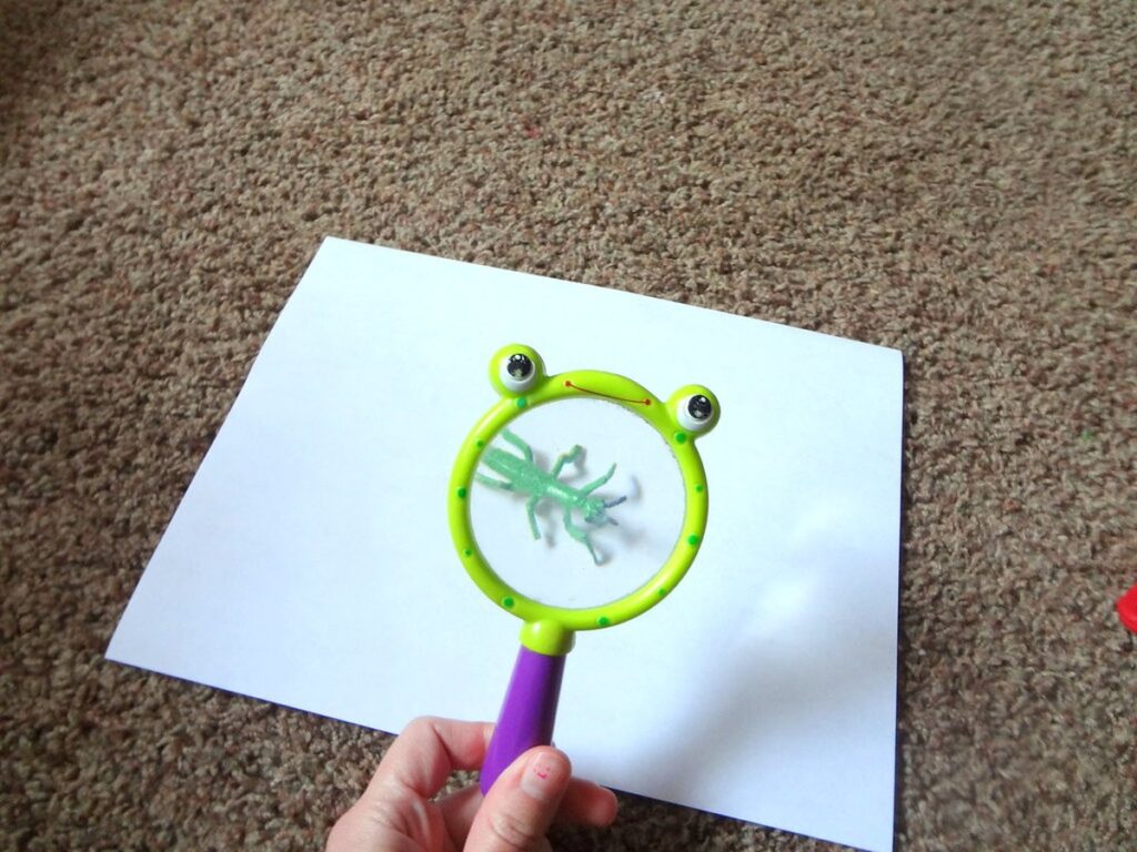 Magnifying Glass