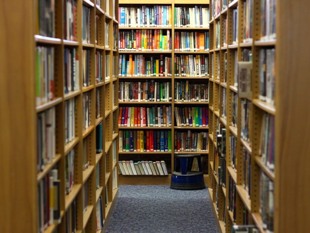 Library Shelves