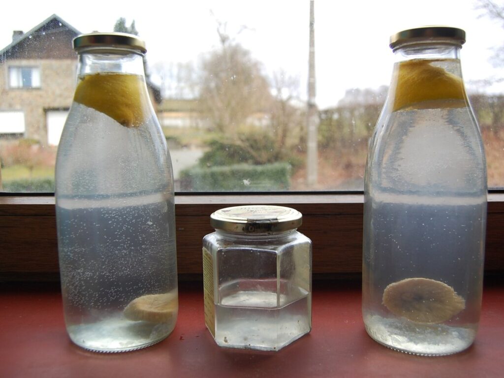 Aprestaedje kefir a l' aiwe