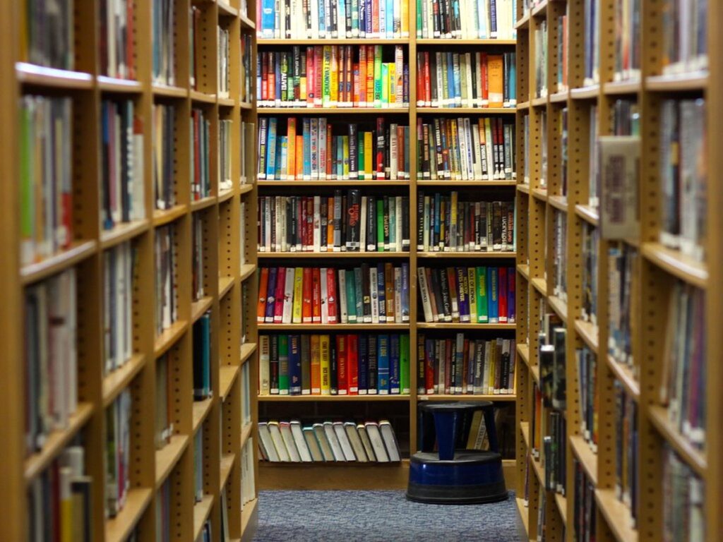 Library Shelves